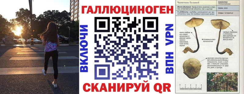 Псилоцибиновые грибы прущие грибы  ссылка на мегу маркетплейс  Джанкой  где купить наркотик 