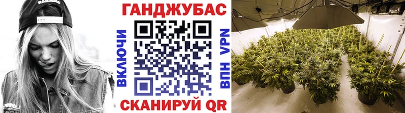 Марихуана план  Джанкой 